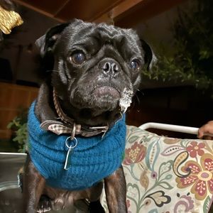 Meet your Posher, Valeria